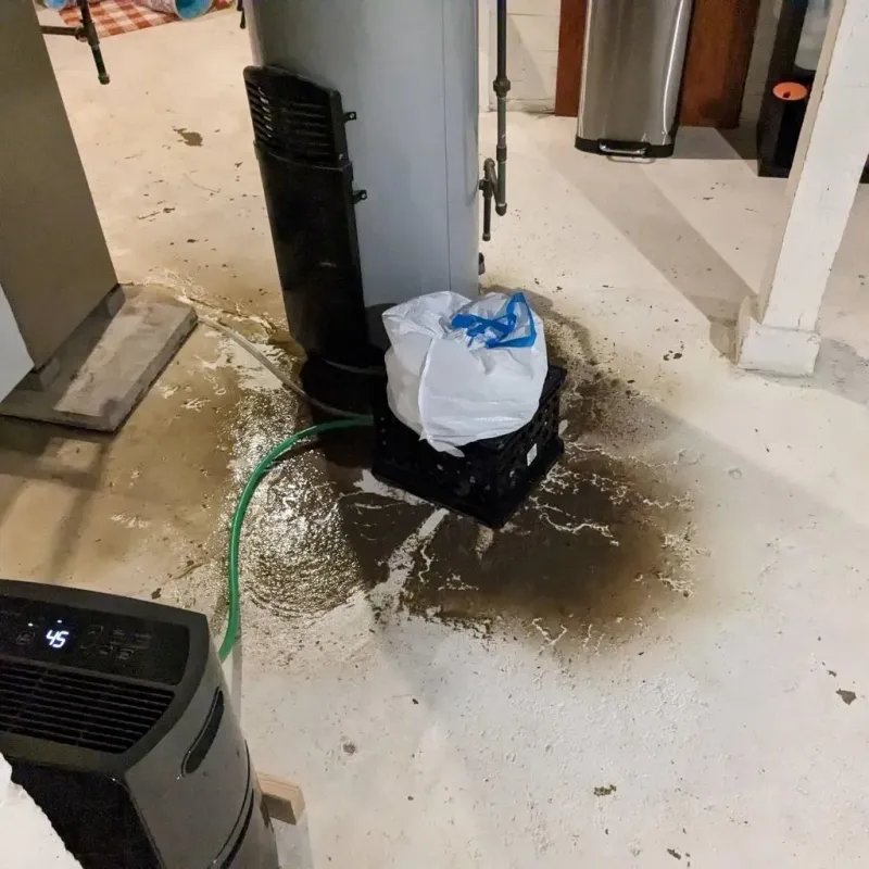 Sewage Backup Cleanup Service in Erwinville, LA